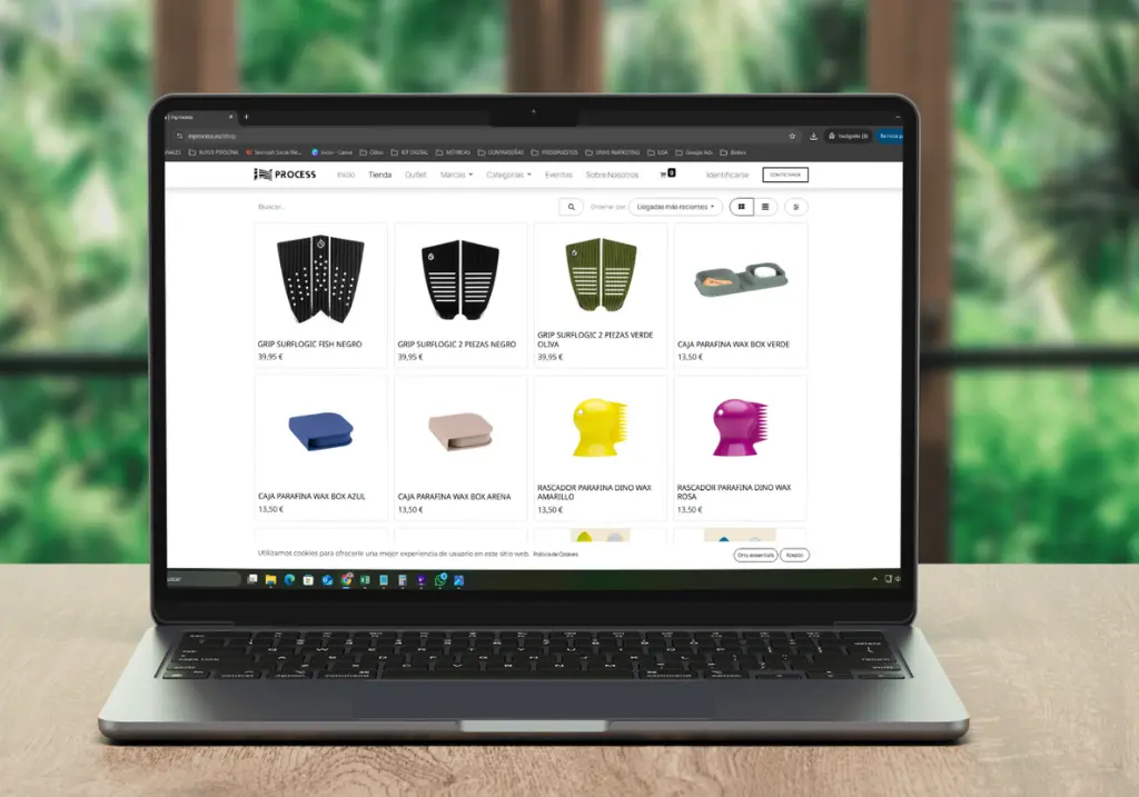 Ecommerce In process